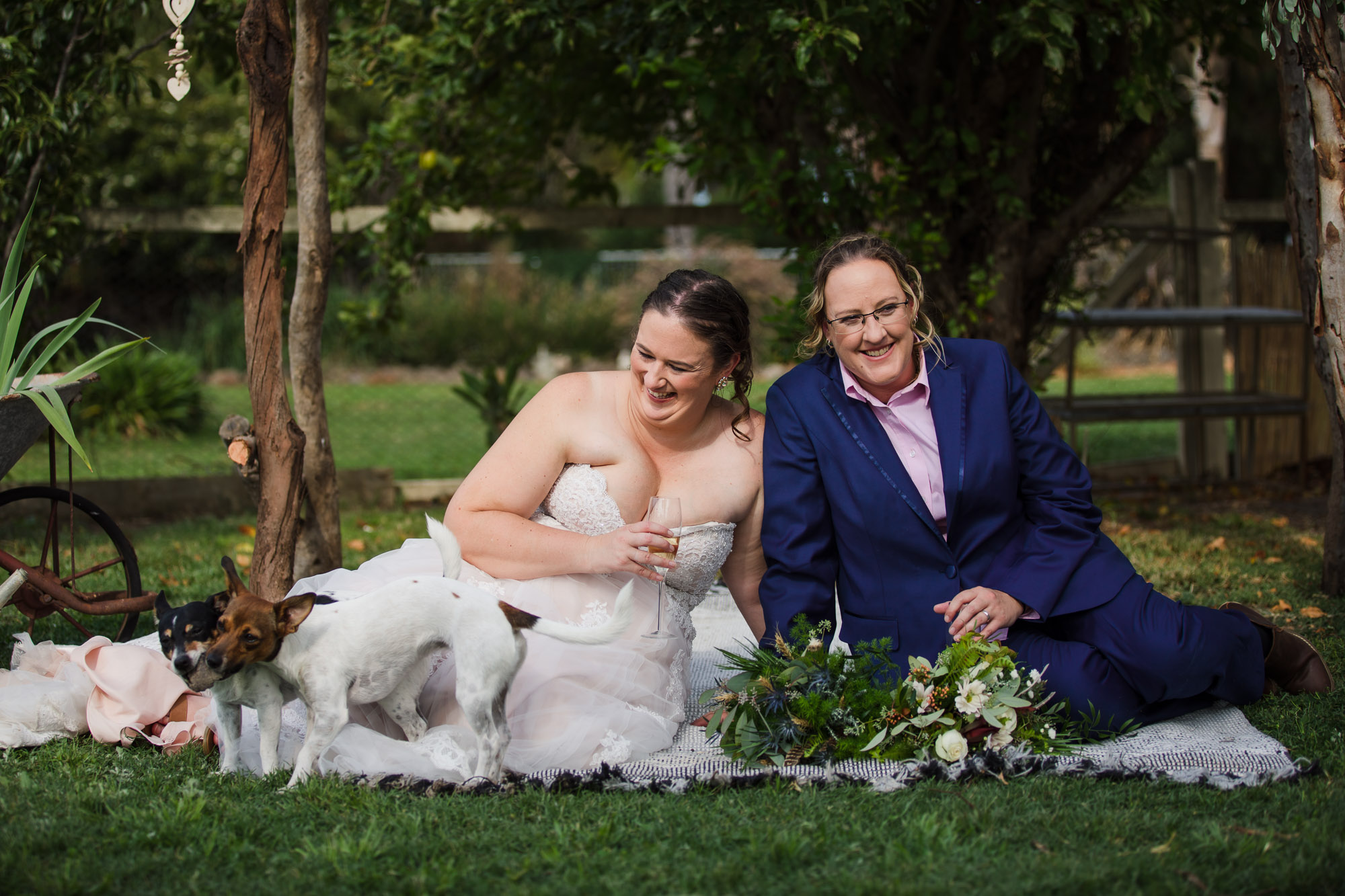 two brides sitting on picnic rug with their dogs
